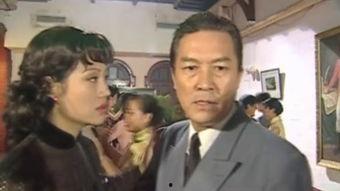 相煎上海滩 电视剧,风云变幻的滩涂传奇