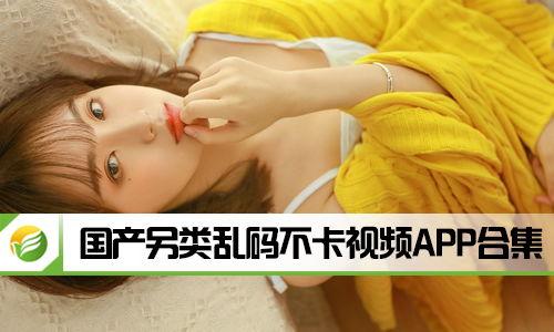 国产在线乱,揭秘国内网络乱象背后的真相与挑战